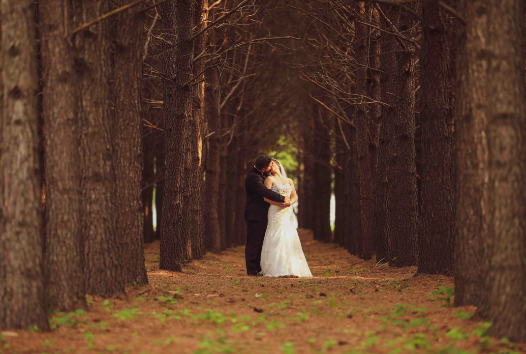 Couple kissing in a cathedral of pine trees