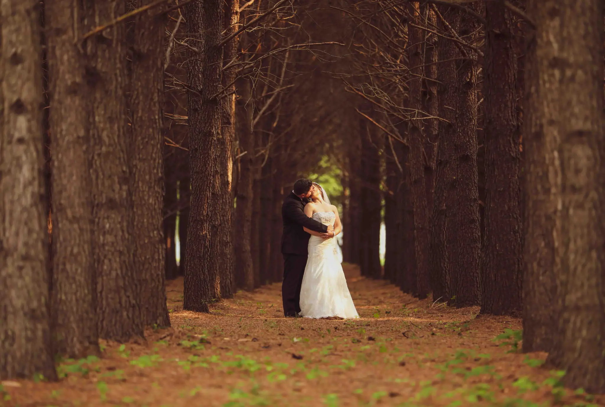 Couple kissing in a cathedral of pine trees — Andrew Rozario outdoor wedding photographer